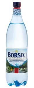 Borsec